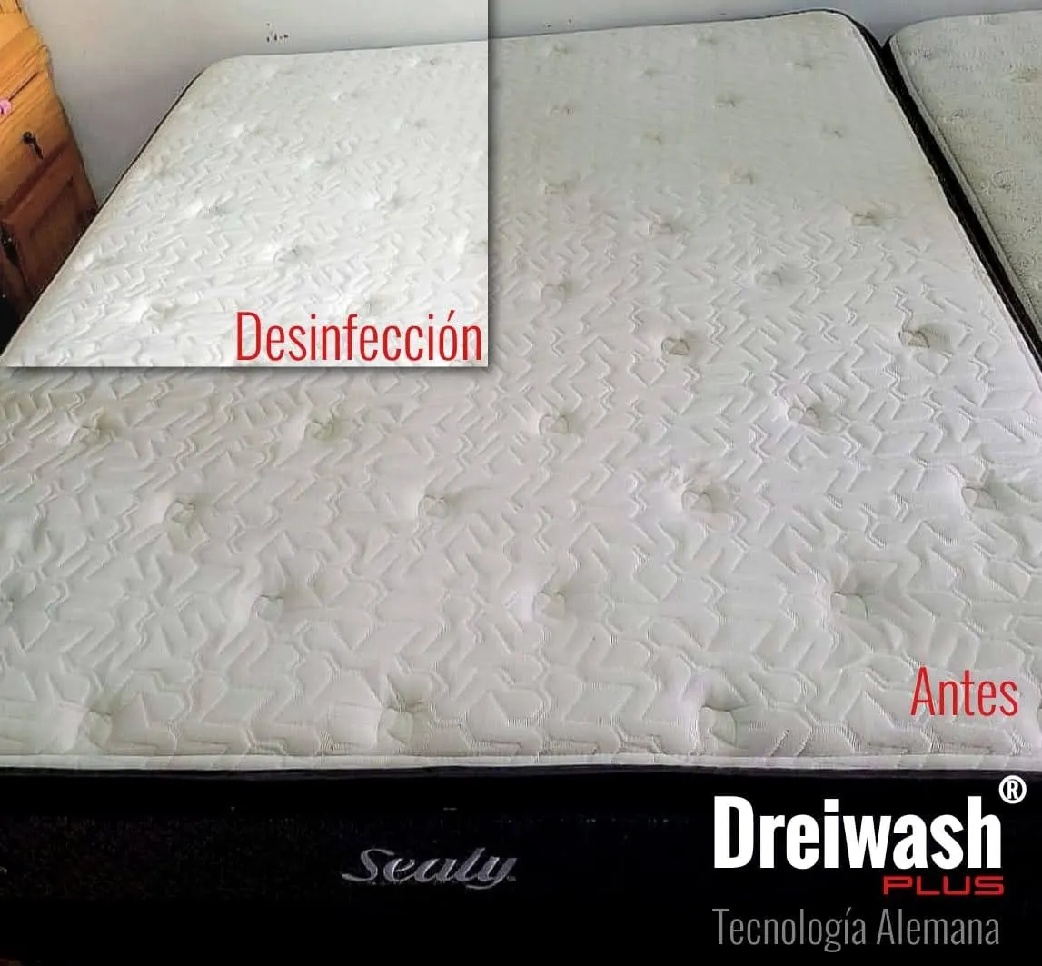 Trabajo de Colchones — Dreiwash Plus